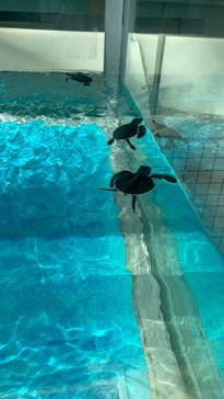 名古屋港水族館に投稿された画像（2024/10/13）