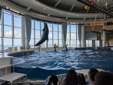 アクアワールド茨城県大洗水族館に投稿された画像（2024/10/13）