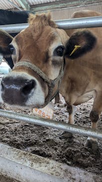 成田ゆめ牧場に投稿された画像（2024/10/13）