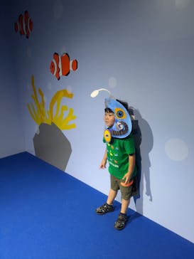 NIFREL（ニフレル）に投稿された画像（2024/10/13）