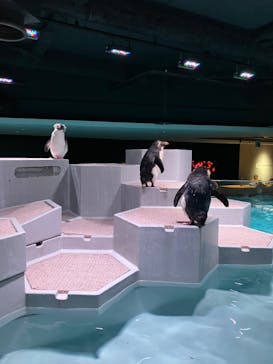 AOAO SAPPOROに投稿された画像（2024/10/13）