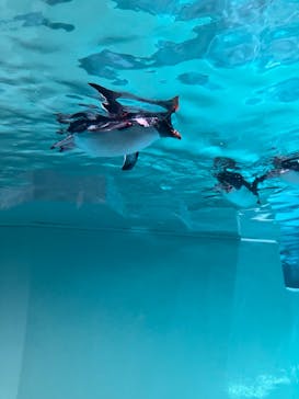 AOAO SAPPOROに投稿された画像（2024/10/13）