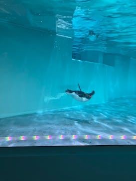 AOAO SAPPOROに投稿された画像（2024/10/13）