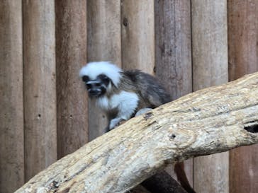 神戸どうぶつ王国に投稿された画像（2024/10/13）