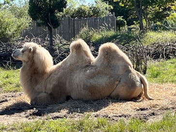 東北サファリパークに投稿された画像（2024/10/13）