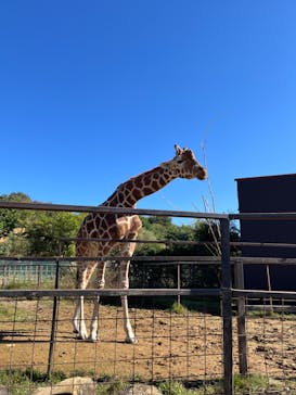 東北サファリパークに投稿された画像（2024/10/13）