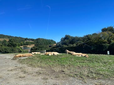東北サファリパークに投稿された画像（2024/10/13）