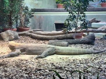 名古屋市東山動植物園に投稿された画像（2024/10/13）