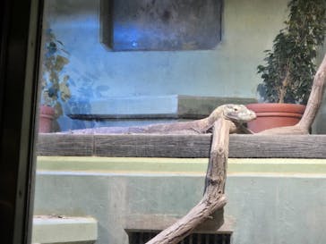 名古屋市東山動植物園に投稿された画像（2024/10/13）