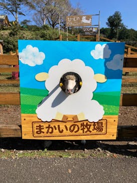 まかいの牧場に投稿された画像（2024/10/13）