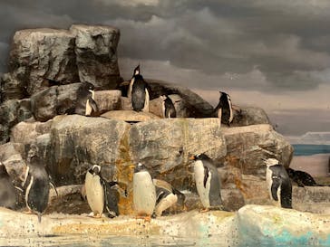 名古屋港水族館に投稿された画像（2024/10/13）