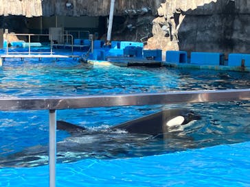 名古屋港水族館に投稿された画像（2024/10/13）