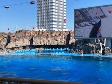 名古屋港水族館に投稿された画像（2024/10/13）