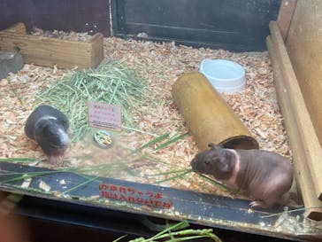 伊豆シャボテン動物公園に投稿された画像（2024/10/13）