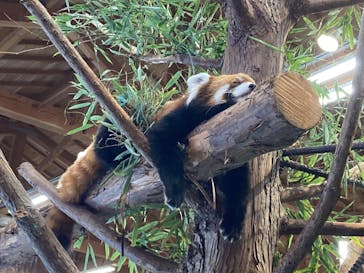 伊豆シャボテン動物公園に投稿された画像（2024/10/13）