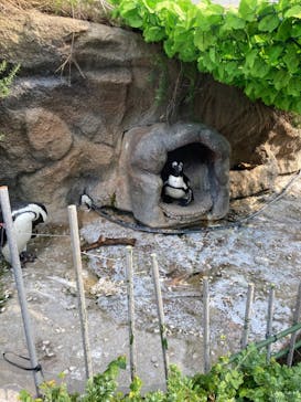 サンシャイン水族館に投稿された画像（2024/10/13）