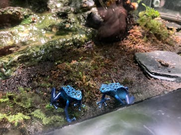 サンシャイン水族館に投稿された画像（2024/10/13）