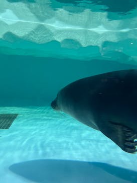 滋賀県立琵琶湖博物館に投稿された画像（2024/10/13）