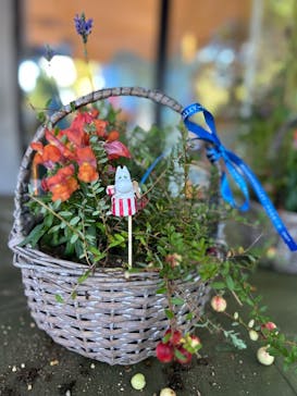 ムーミンバレーパークに投稿された画像（2024/10/13）