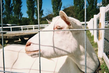 滋賀農業公園ブルーメの丘に投稿された画像（2024/10/13）