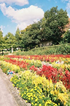 滋賀農業公園ブルーメの丘に投稿された画像（2024/10/13）