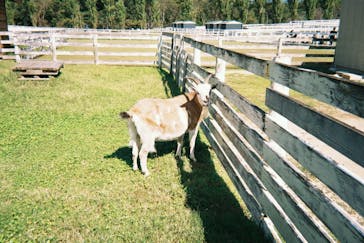 滋賀農業公園ブルーメの丘に投稿された画像（2024/10/13）