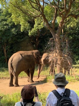 よこはま動物園ズーラシアに投稿された画像（2024/10/13）