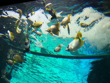 サンシャイン水族館に投稿された画像（2024/10/13）