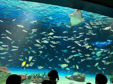 サンシャイン水族館に投稿された画像（2024/10/13）