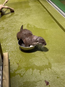 竹島水族館に投稿された画像（2024/10/13）