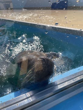 竹島水族館に投稿された画像（2024/10/13）