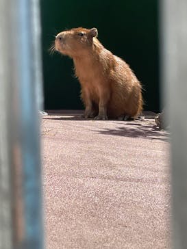 竹島水族館に投稿された画像（2024/10/13）