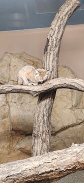 那須どうぶつ王国に投稿された画像（2024/10/13）