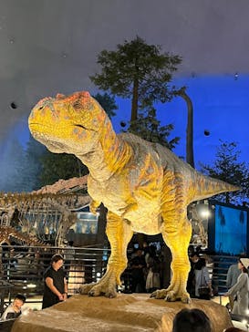 福井県立恐竜博物館に投稿された画像（2024/10/13）