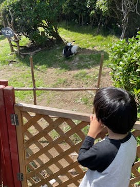 鴨川シーワールドに投稿された画像（2024/10/13）