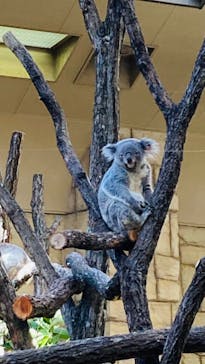 名古屋市東山動植物園に投稿された画像（2024/10/13）