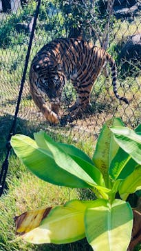 名古屋市東山動植物園に投稿された画像（2024/10/13）