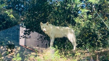 名古屋市東山動植物園に投稿された画像（2024/10/13）