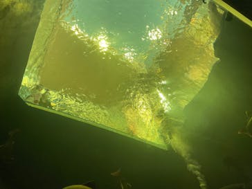 AQUARIUM × ART　atoaに投稿された画像（2024/10/13）