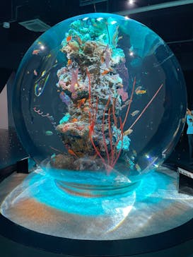 AQUARIUM × ART　atoaに投稿された画像（2024/10/13）
