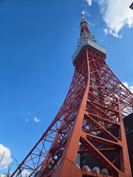 東京タワーに投稿された画像（2024/10/13）