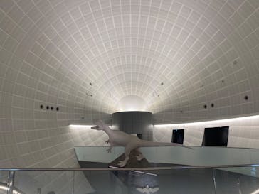 福井県立恐竜博物館に投稿された画像（2024/10/13）