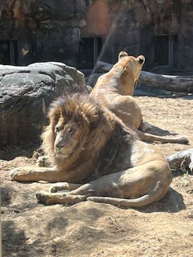 天王寺動物園に投稿された画像（2024/10/13）