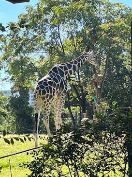 天王寺動物園に投稿された画像（2024/10/13）