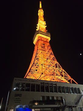 東京タワーに投稿された画像（2024/10/13）