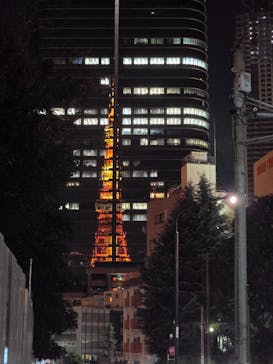 東京タワーに投稿された画像（2024/10/13）