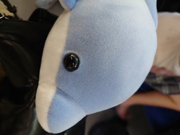 マクセル アクアパーク品川に投稿された画像（2024/10/13）