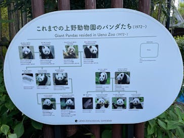 恩賜上野動物園に投稿された画像（2024/10/13）