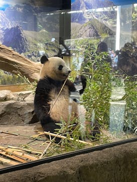 恩賜上野動物園に投稿された画像（2024/10/13）