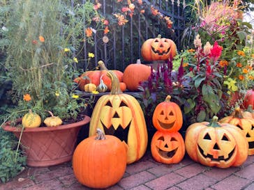 横浜イングリッシュガーデンに投稿された画像（2024/10/13）